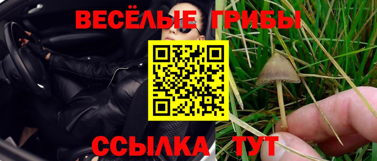 Галлюциногенные грибы GOLDEN TEACHER  Вход с VPN  Соликамск  Псилоцибиновые грибы мицелий 