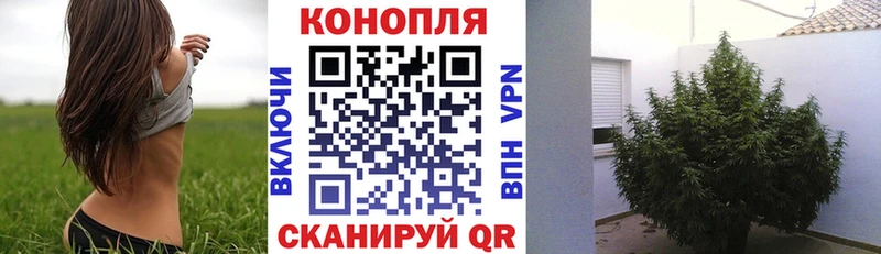Шишки марихуана MAZAR  Соликамск 