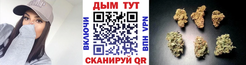 Конопля Bruce Banner Соликамск